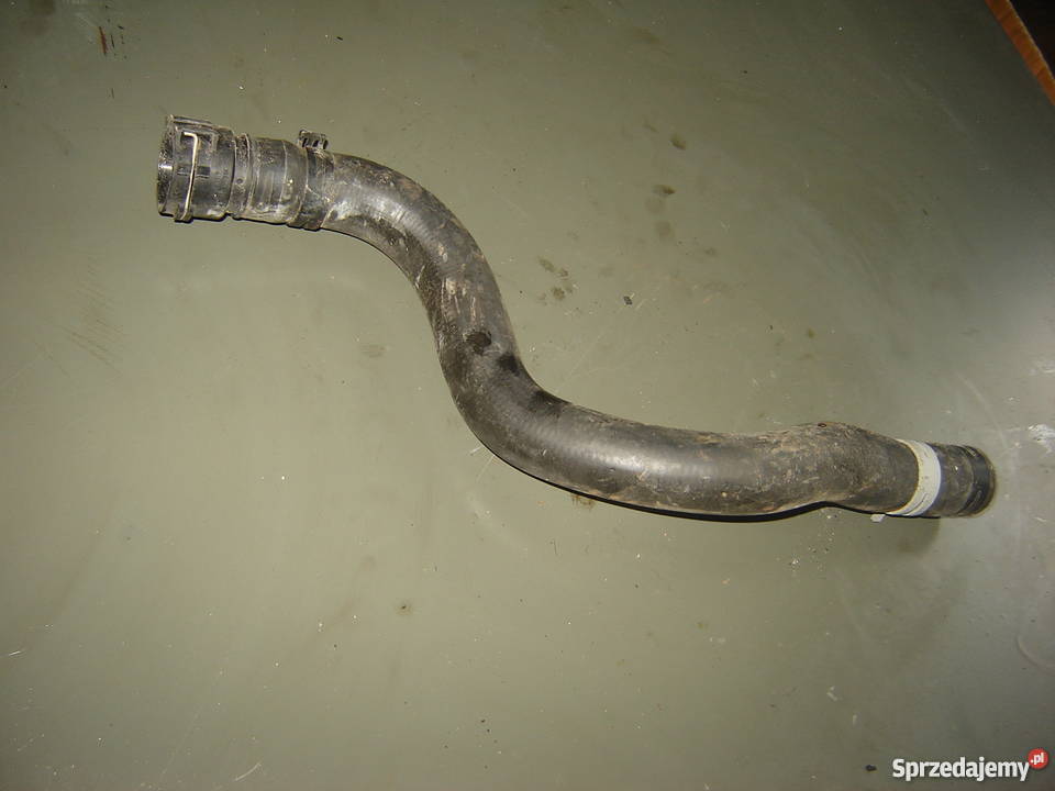 Fiesta mk6 13 8V 06r wąż wody osobowe Strzelce Krajeńskie sprzedam