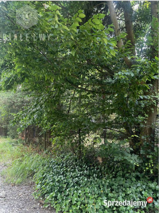 Dom wolnostojący 100m2 Magdalenka mazowieckie