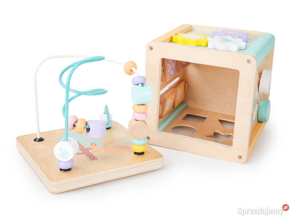 Drewniana kostka edukacyjna sorter mula ECOTOYS Smogorzów