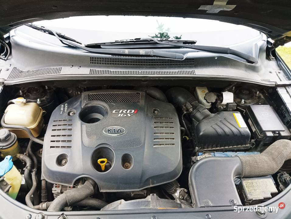 Kia sportage exclusive edition wspomaganie kierownicy lubelskie Bychawa