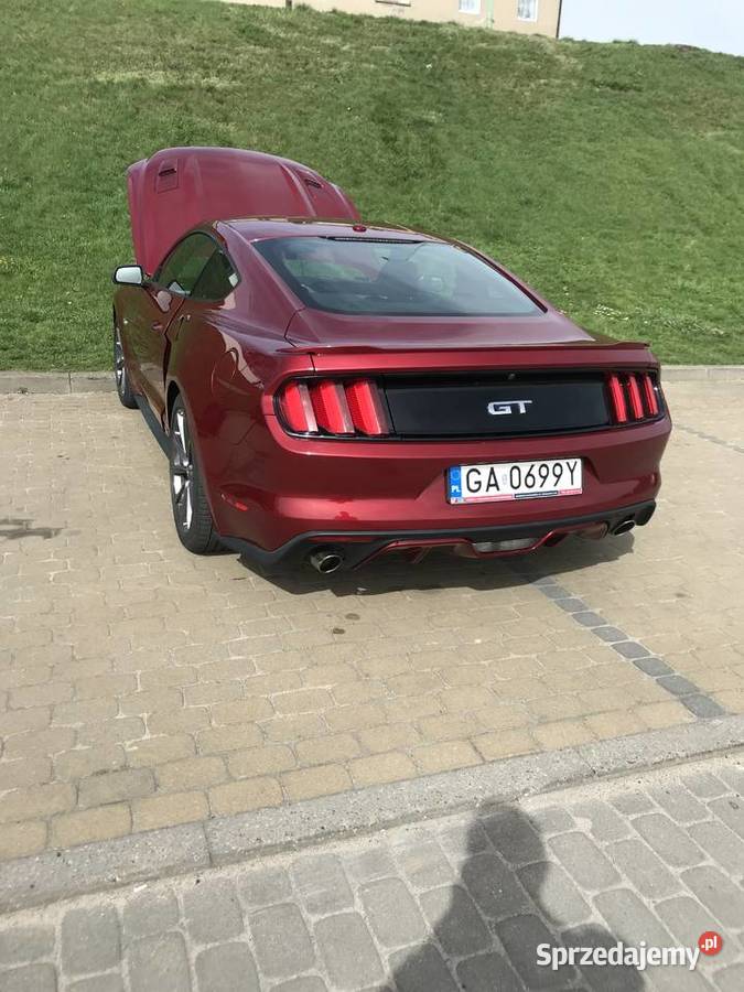 Mustang 2015 GT 50 Full wyposarzenie Rok produkcji 2015 Samochody osobowe Tczew sprzedam