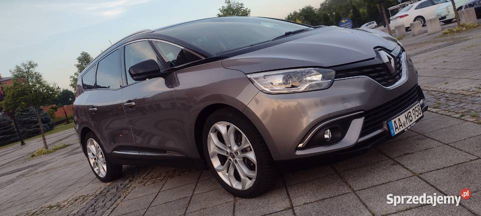 Renault Scenic IV 17 17 dci blue7 osobowy 1700cm3 Kraków