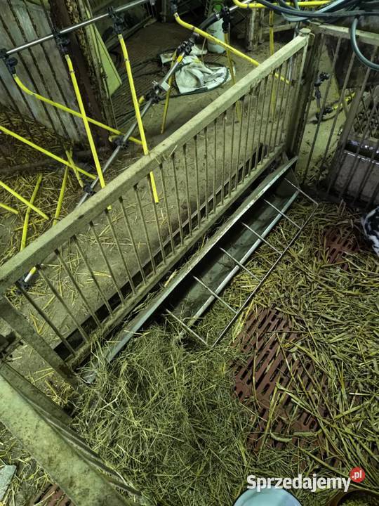 Ruszta paśniki wygrody kojce porodowe koryta Rolnictwo Szyszłowo