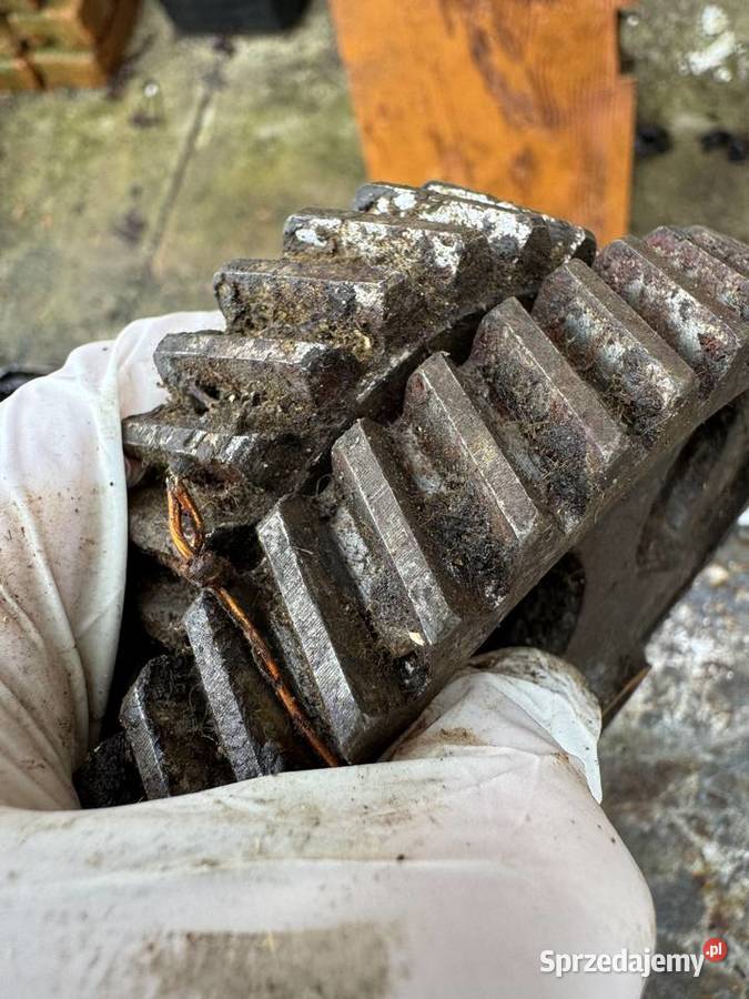 Dnieor Oryginalny KOŁA ROZRZĄDU Nowy Przemyśl