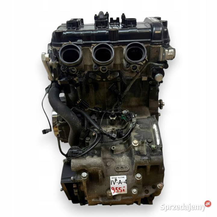 SILNIK Triumph Speed Triple 955i 955 120 Chełm