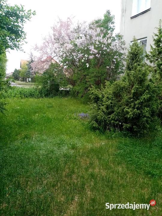 Dom 100 m z dużą działką świętokrzyskie Ostrowiec Świętokrzyski