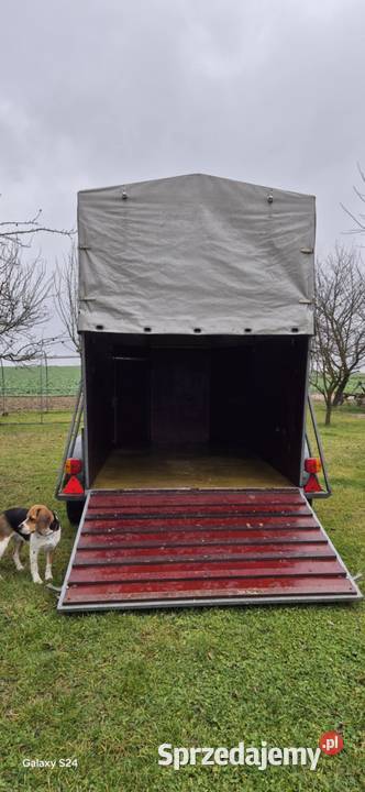 Przyczepa do przewozu zwierząt lubelskie Krzczonów Trzeci