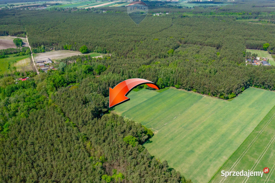 Budowlana 2300 m ze stawem i zielenią łódzkie Góry Prusinowskie
