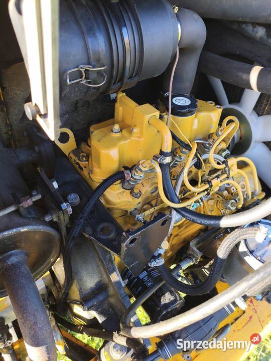 Minikoparka JCB 8014 Ciechocinek