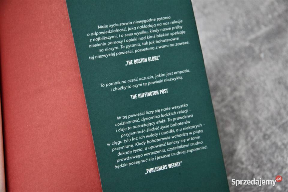 Hanya Yanagihara MAŁE ŻYCIE śląskie Chorzów