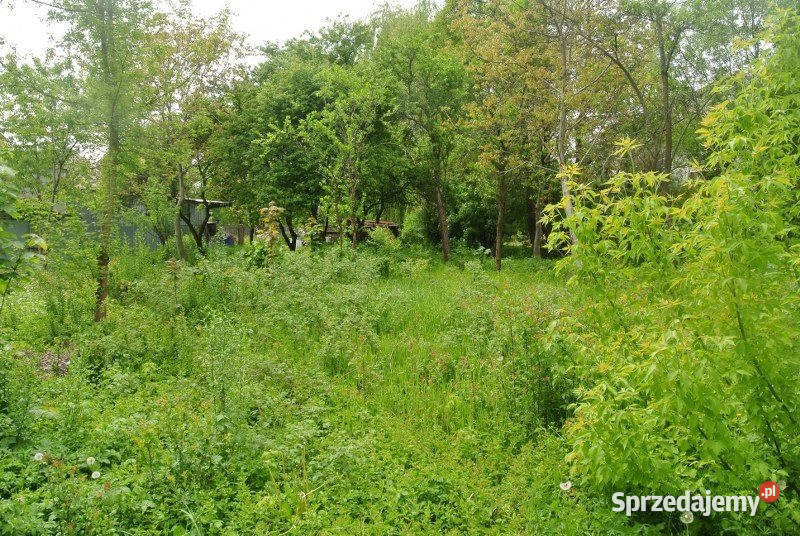 sprzedaży gruntu Kielce 3130m2 Sprzedaż Nieruchomości sprzedam
