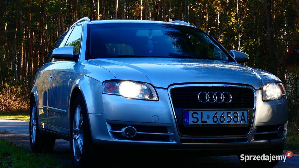 Audi A4 Avant 20 TDI 2007 Drzewica