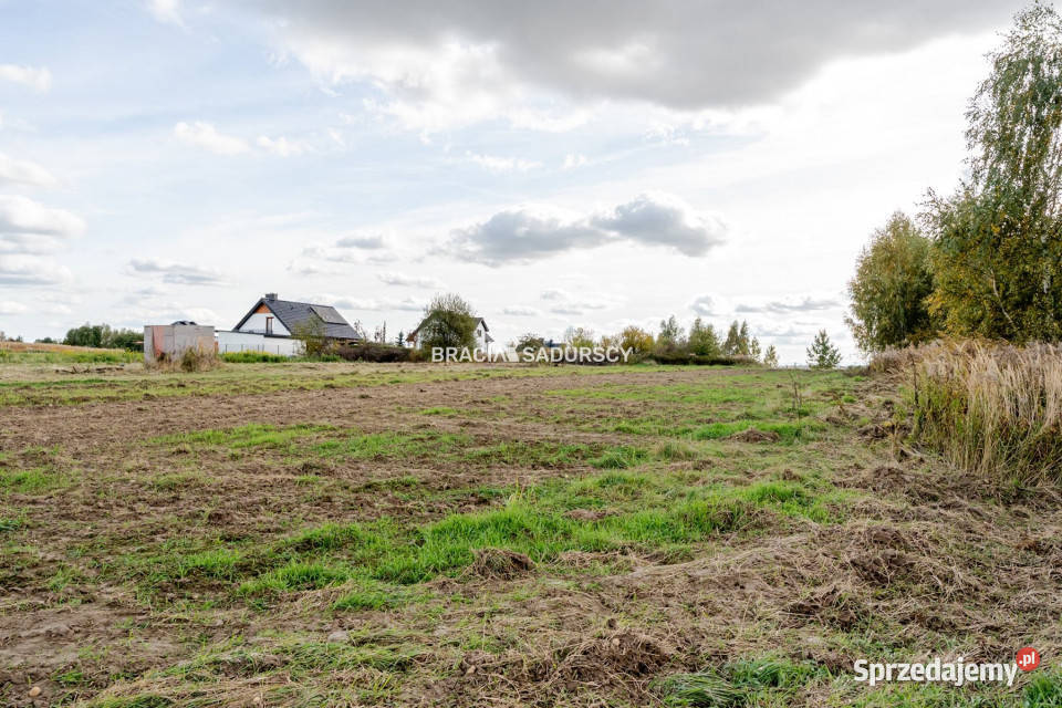 Grunt 2500m2 Cholerzyn małopolskie sprzedam
