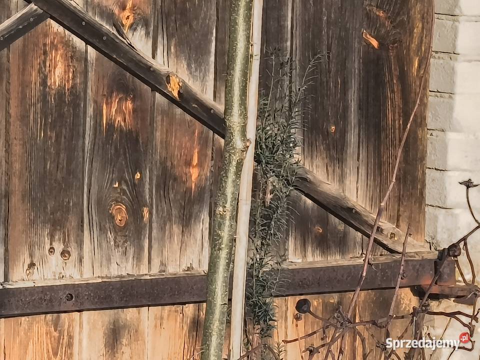 drewniane wierzeje 4 stare drewno deski stodoła Piotrówek