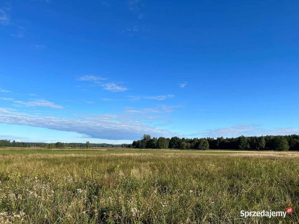 Działka z linią brzegową 4100m2 Trzebielino