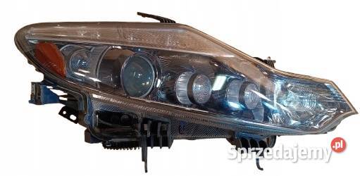 NISSAN MURANO Z51 II LAMPA PRAWY PRZÓD EUROPA Nowy Tomyśl