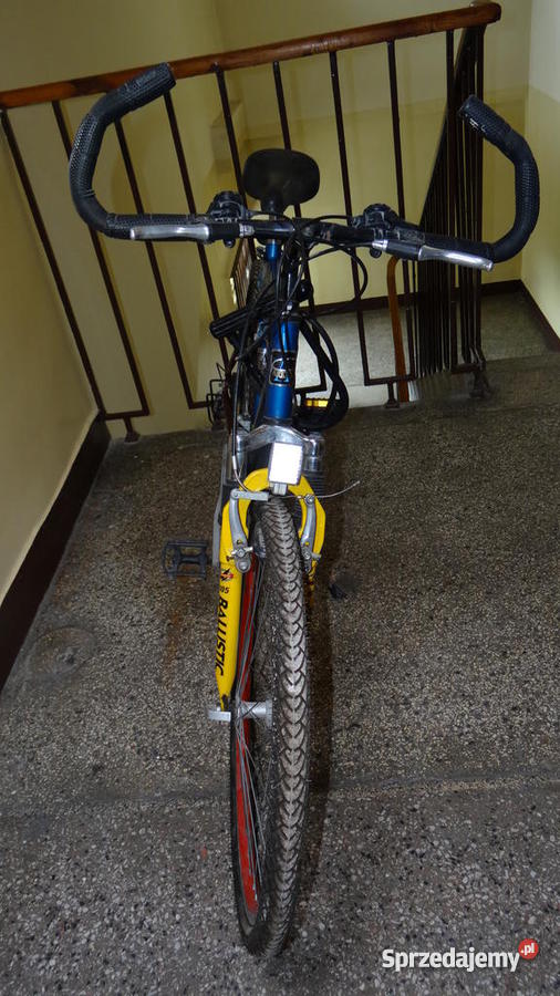 Rower Forester Kraków