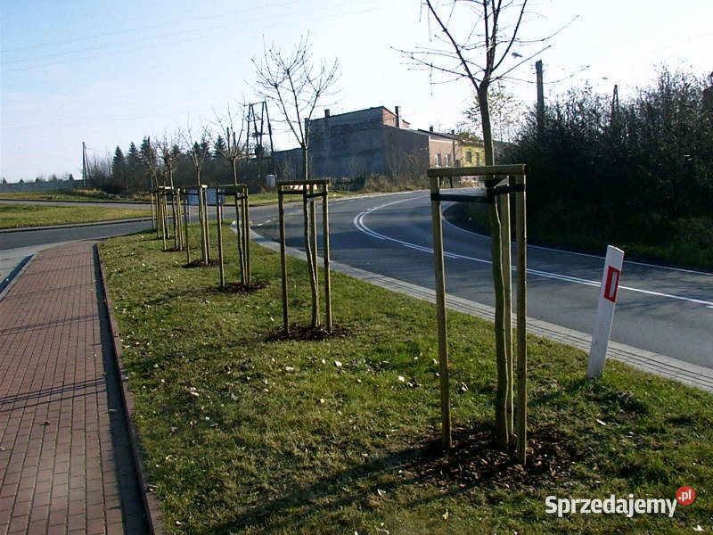 komplety do podpierania drzewek fi5x250 łączniki sprzedam