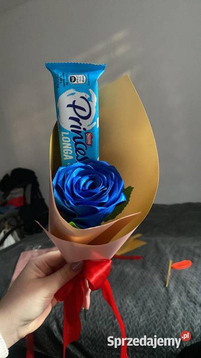 Kwiatek pojedynczy Piotrków Trybunalski