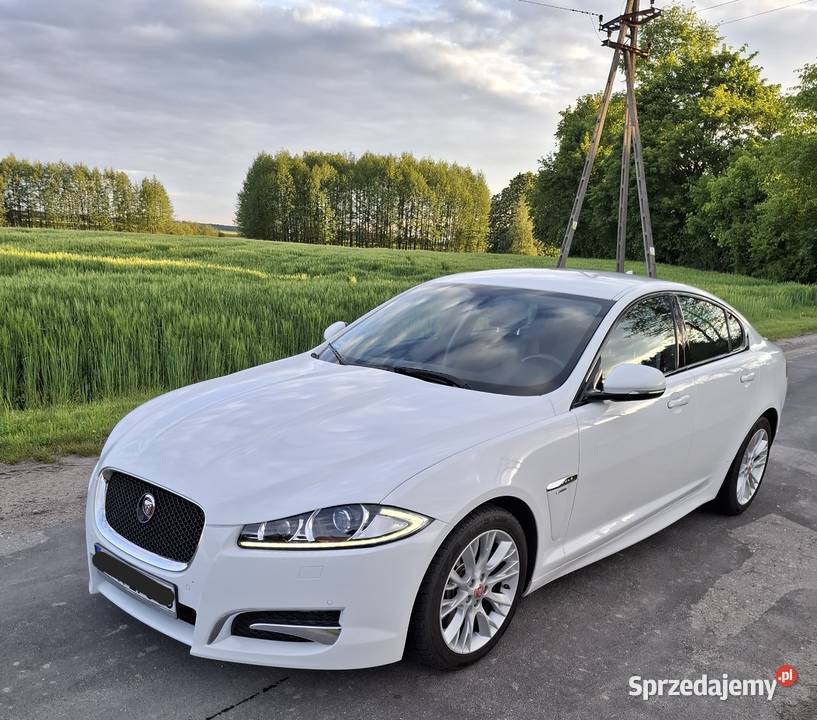 Auto do ślubu Jaguar XF Biały Alpejski Wynajem pojazdów Parczew