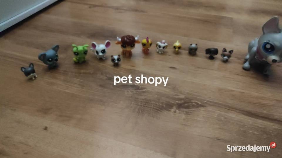 Sprzedaje pet shopy Koronowo