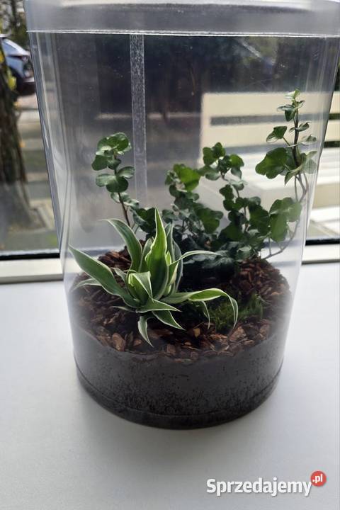 Terrarium z wentylacją 21x35 bezpieczna tuba Tychy