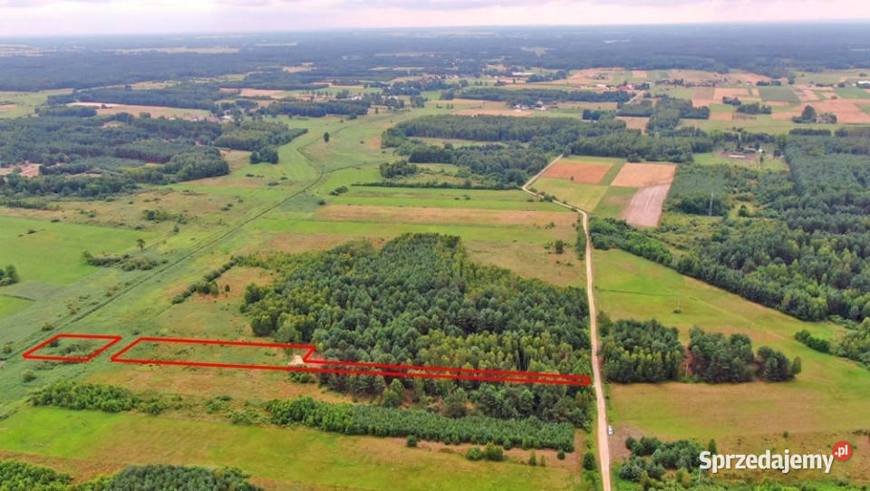 Dwie działki rolne Rudniki k Koniecpola 7200m2