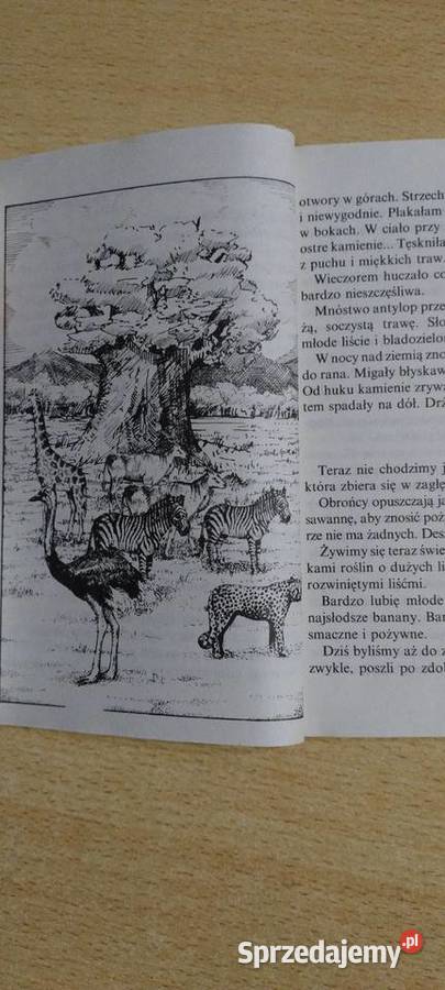 Życie i przygody małpki Bajki i wierszyki Lublin