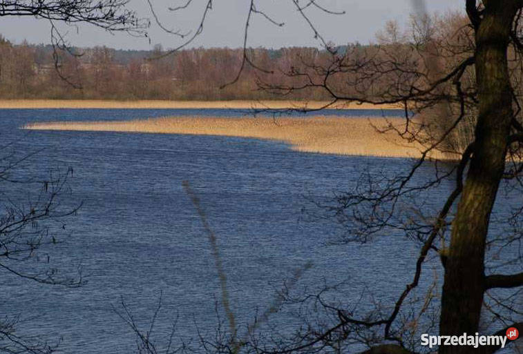 Dom Siedlisko Na Wsi utwardzona Czarmuń sprzedam
