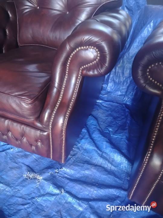 Chesterfield angielski lubelskie Biała Podlaska