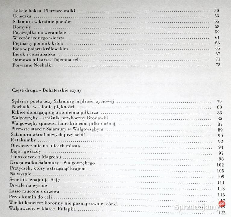 Przygody Sałamury Arczył Sułakauri Chełm sprzedam