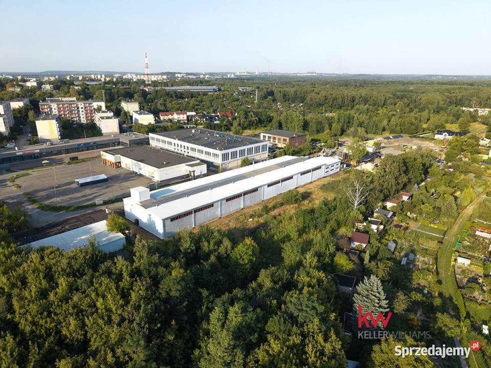 Lokal Sosnowiec Braci Mieroszewskich 2700m2 sprzedam
