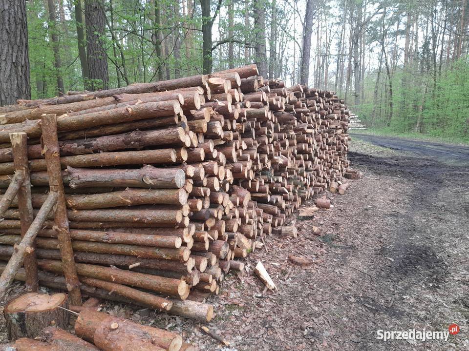 drewno opałowe gałęźiowe Puszcza Mariańska