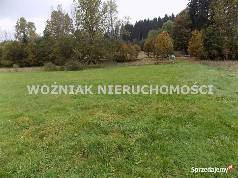 Działka 3000m2 Bartnica dolnośląskie
