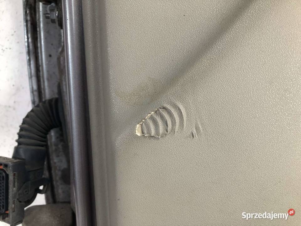 Renault Grand Scenic II 05r Drzwi prawe przód Drzwi