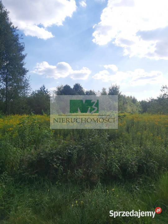 DO SPRZEDAŻY DZIAŁKA W WOLI ZARCZYCKIEJ Z WZ podkarpackie Wola Zarczycka