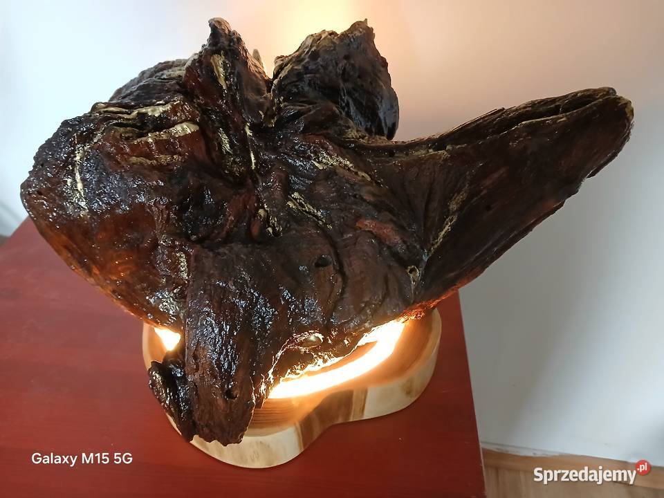Lampa z korzenia dębu LED Skawina sprzedam