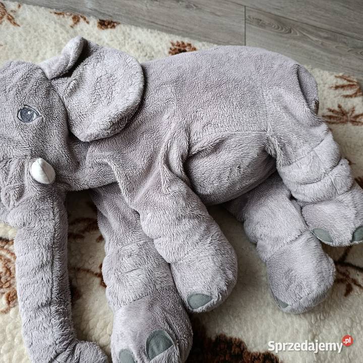 miś maskotka pluszak słoń wielkopolskie Poznań