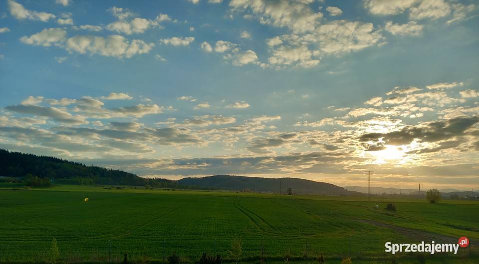 Sprzedam ziemie dolnośląskie Wojcieszyce sprzedam