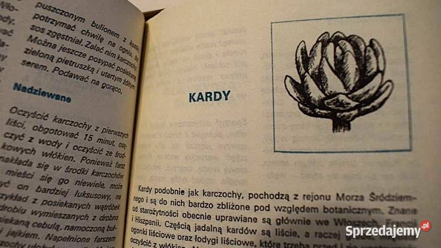 Dania sałatki surówki i potrawy jarskie zdrowa Chełmno