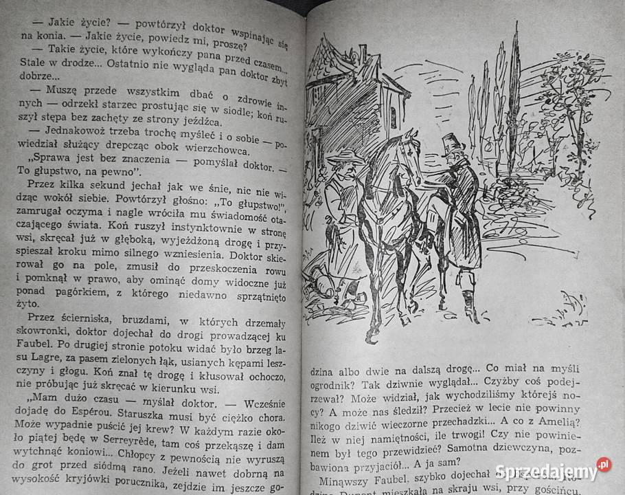 Oberża przepaścią Andre Chamson sprzedam