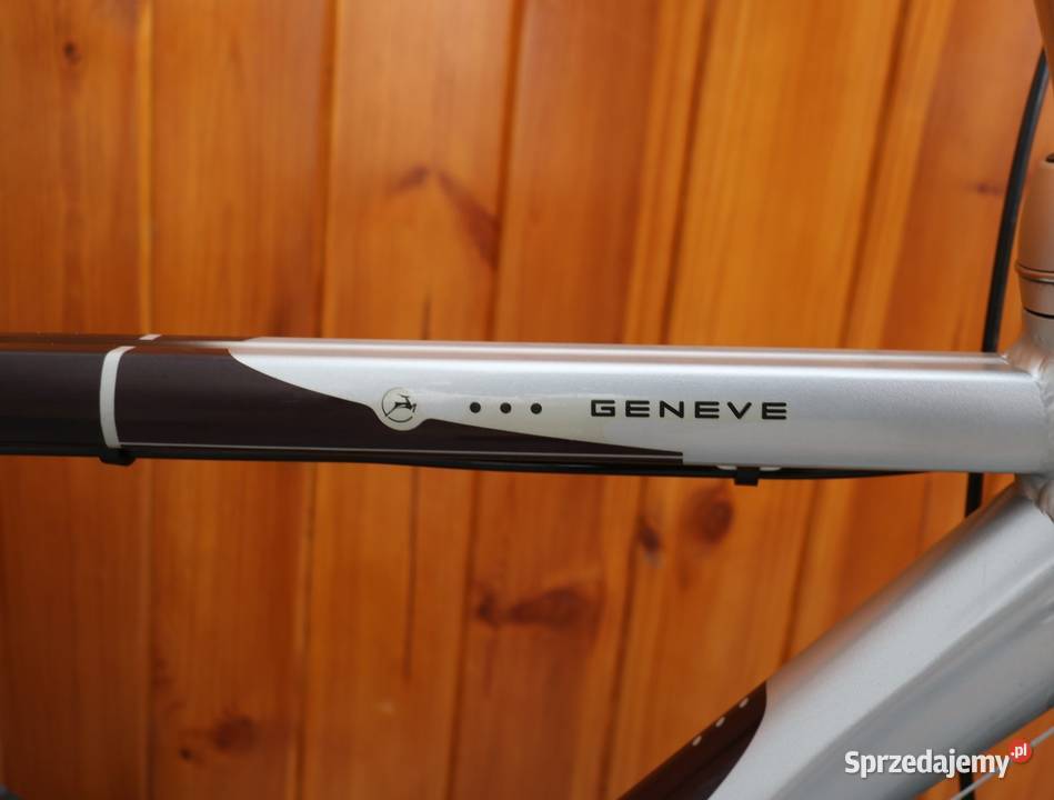 Rower męski Gazelle Geneve Gold Line H 53 I inne mazowieckie Milanówek
