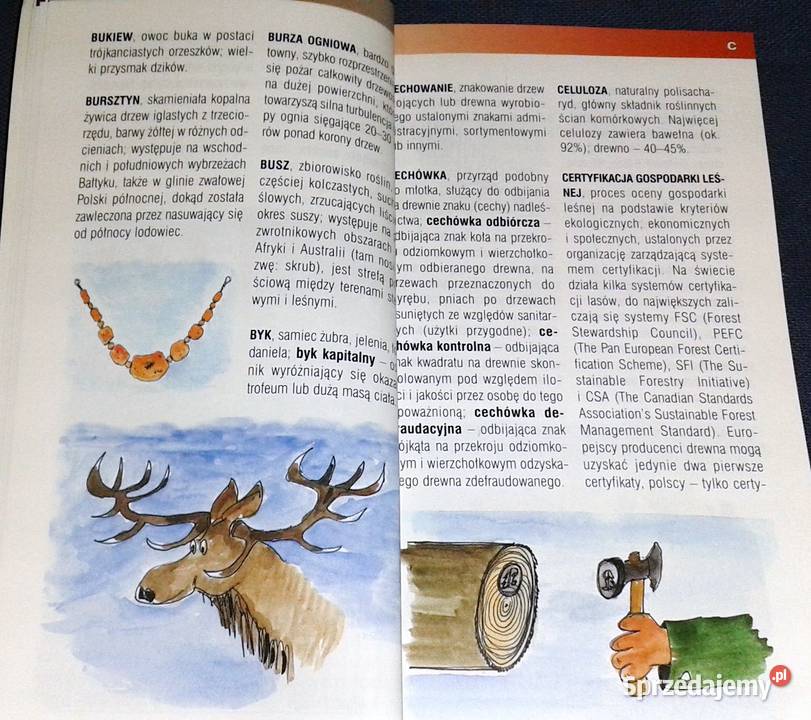 Las słowami opisany Słowniczek terminów leśnych miękka Chełm sprzedam