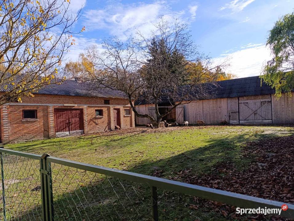 Sprzedam dom lesie Miętkie