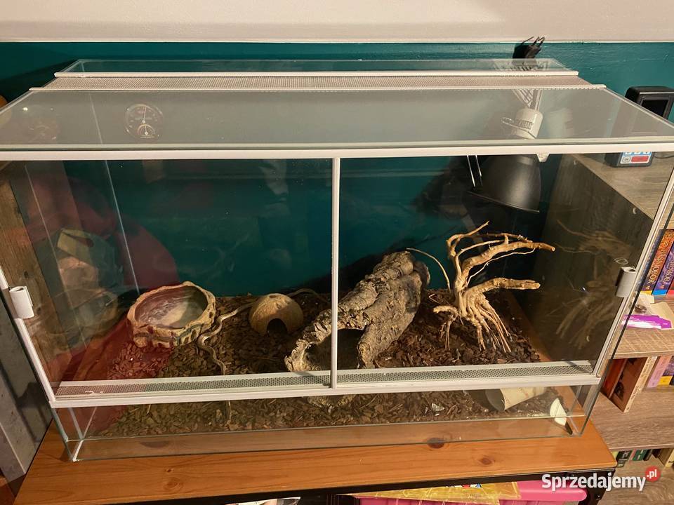 Terrarium z wyposażeniem