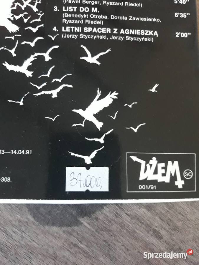 Archiwum polskiego blues rocka DŻEM Detox 1991 Rzeszów