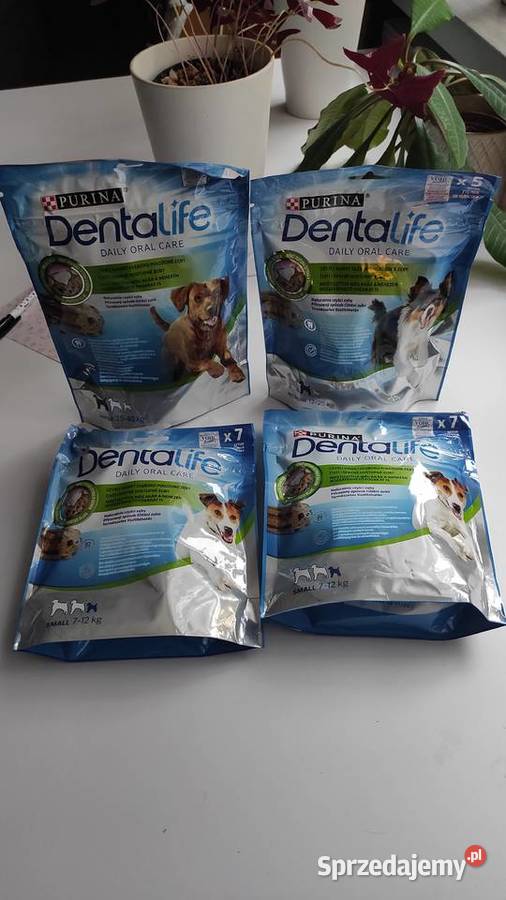 Gryzaki psa zdrowe zęby i dziąsła nowe pomorskie Gdańsk