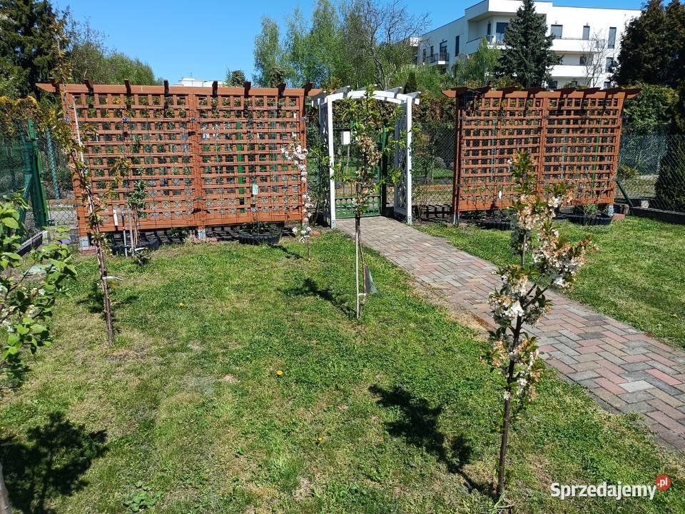 Działka ROD z domkiem Sprzedaż Toruń