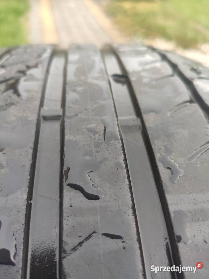 Michelin prymacy 2155516 Michelin