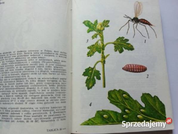 Atlas chorób i szkodników roślin ozdobnych Książki naukowe i popularnonaukowe Łódź
